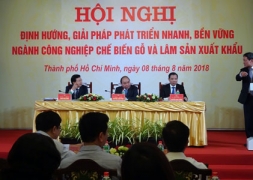 Vấn đề sản xuất có bản quyền của ngành gỗ Việt Nam ?