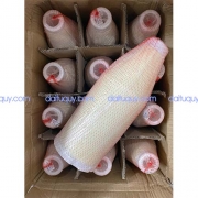 CHỈ MAY VENEER